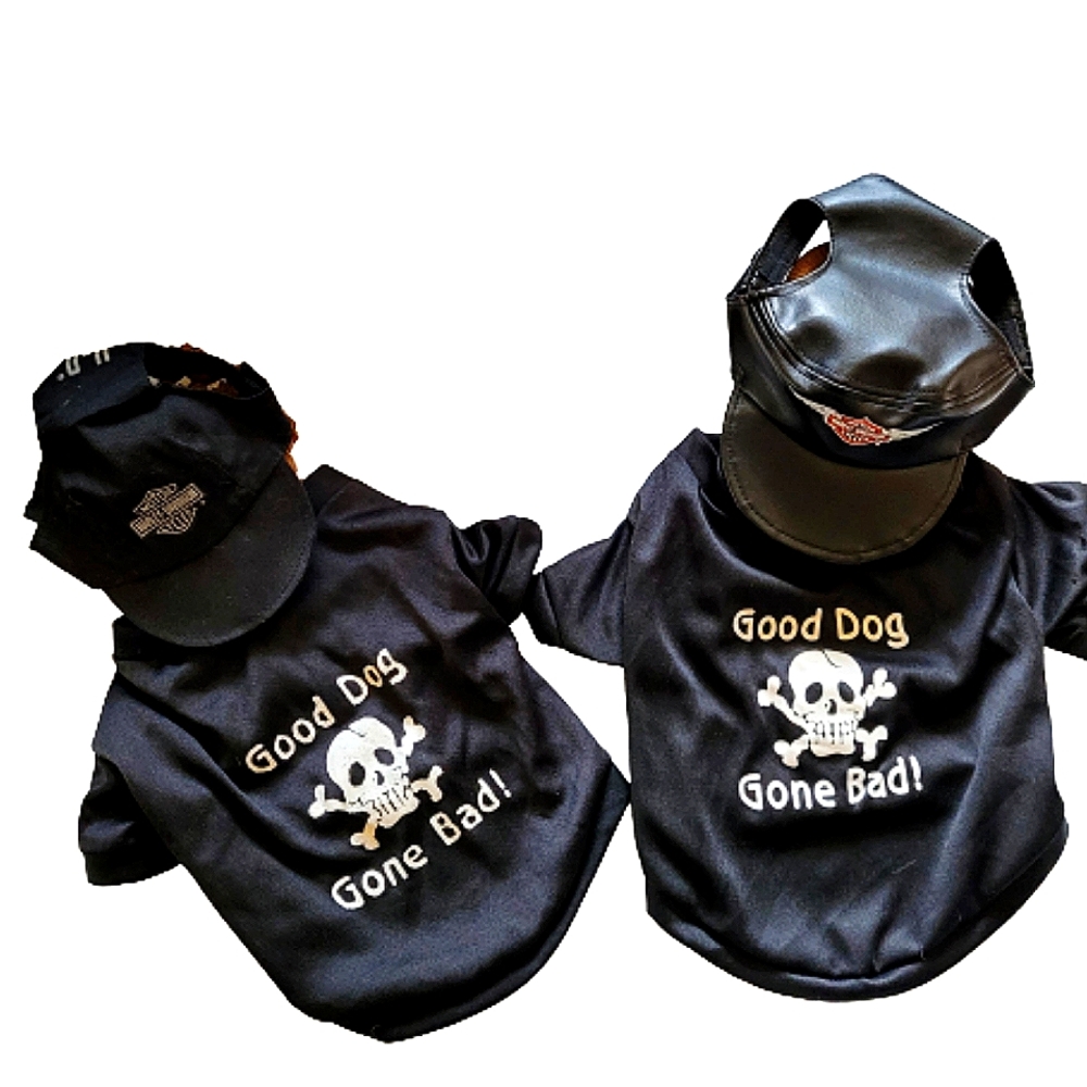 Bundle Harley Davidson Dog Caps with Bonus Shirts.
